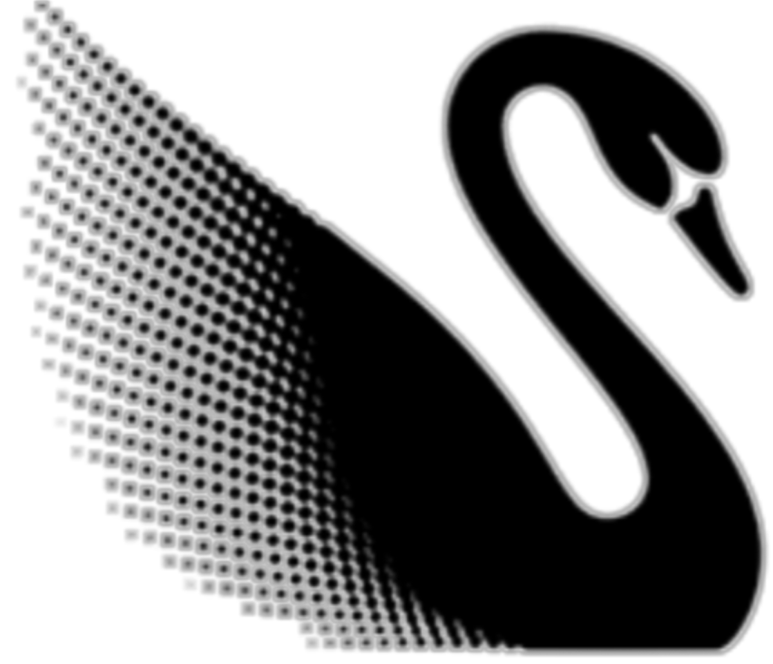 Black Swan International | Tel: (675) 75000200